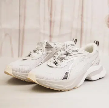 고품질 PUMA PHLOX WNS 22.5cm