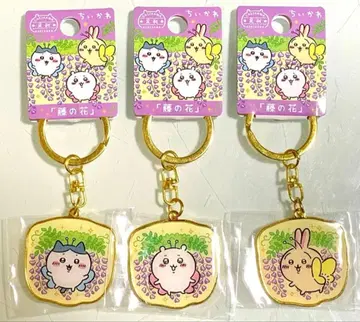 지역 한정 치이카와 키링 x 3개 세트 아시카가 플라워 파크 한정판 등꽃