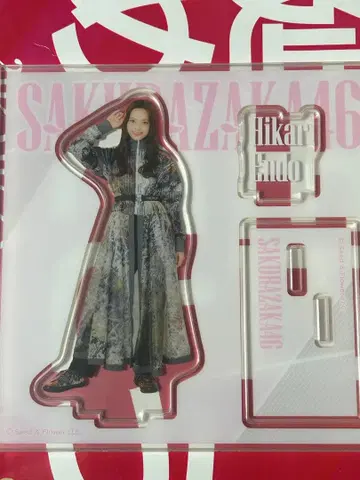 사카미치 시리즈 엔도 히카리 아크릴 스탠드