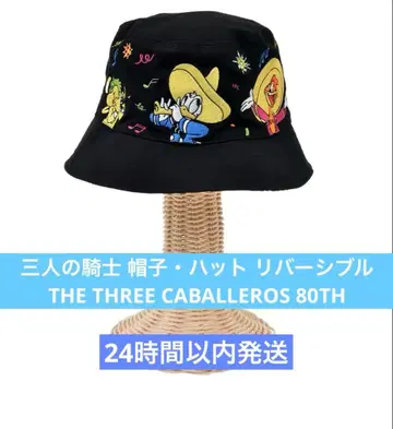 디즈니 세 명의 기사 모자 햇 리버서블
