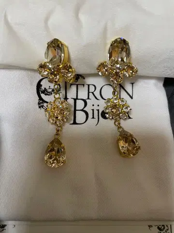 시트론 비쥬 귀찌 (citron bijoux)