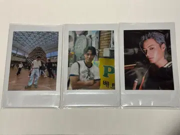 RESISTANCE 레지스탕스 레지타비 니시다 키엘 폴라로이드