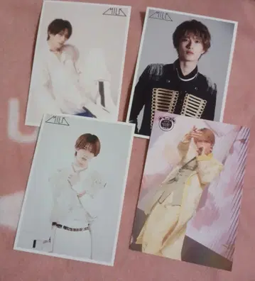 MILK 야마나카 유타로 세트 판매