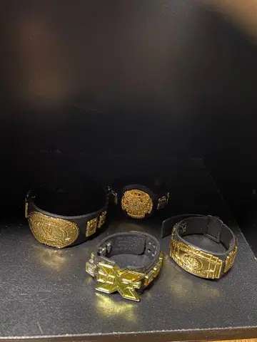 프로레슬링 피규어 챔피언 벨트 wwe 피규어