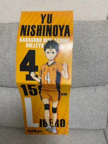 니시노야 유우 클리어 파일 카라스노 고교 닛산 TSUTAYA