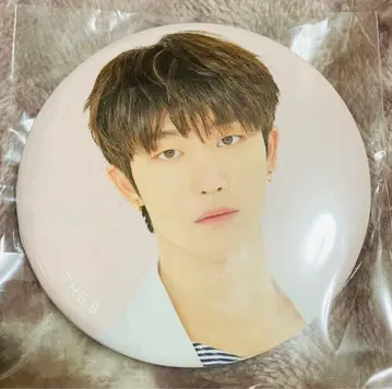 SEVENTEEN 디에잇 캔뱃지