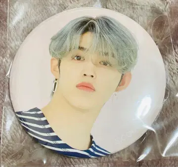 SEVENTEEN 에스크 캔뱃지