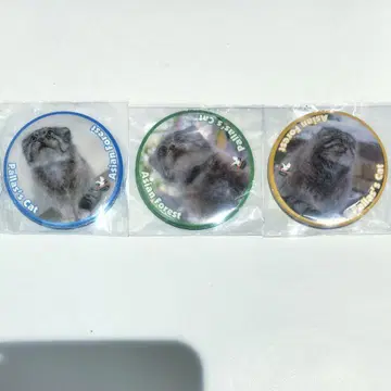 나스 동물 왕국 마눌 고양이 캔뱃지 세트