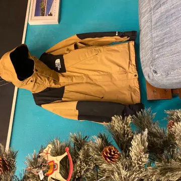 THE NORTH FACE 고어텍스 마운틴 후드티