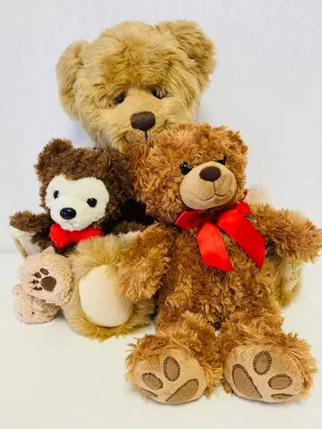 Harrods 곰 베어 봉제 인형 2007 한정판 완구 3종