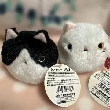 고양이 뭉치 산영 무역 봉제 인형 손바닥 솜뭉치 오드아이 하치와레