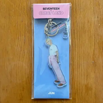 seventeen 준 carat land 2023 아크릴 키링