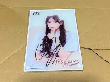 다치바나 코토미