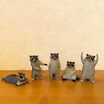 안에 사람이 들어있는 너구리