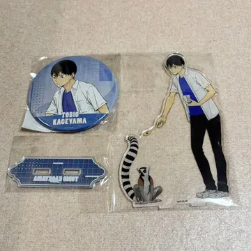 하이큐 토부 동물공원 카게야마 토비오