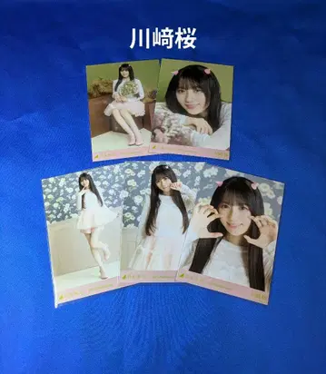 노기자카46 카와사키 사쿠라 할로윈 2025 5종 컴프