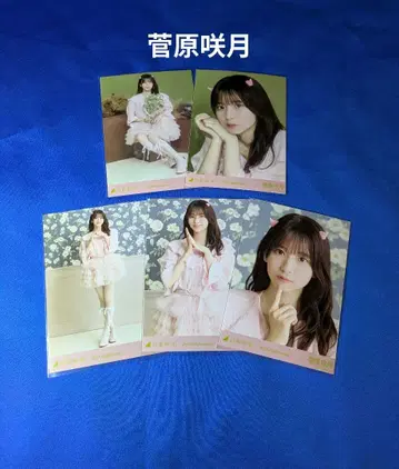 노기자카46 스가와라 사츠키 할로윈 2025 5종 컴프