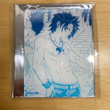 FAIRYTAIL 그레이 풀버스터 TSUTAYA 아크릴 카드