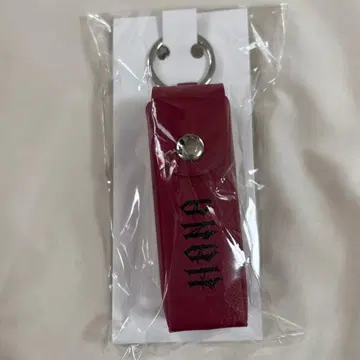 HANA 로고 립 케이스