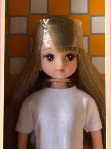 2022년 고베 산노미야 BASIC 모델 키라짱