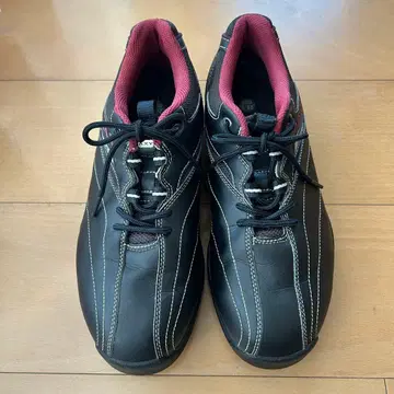 Mizuno AXY 골프화 25.0cm 4E 블랙/레드