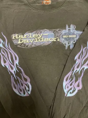 [ 구하기 어려움 ] 90s 할리데이비슨 빈티지 블루 프레임 캐나다제