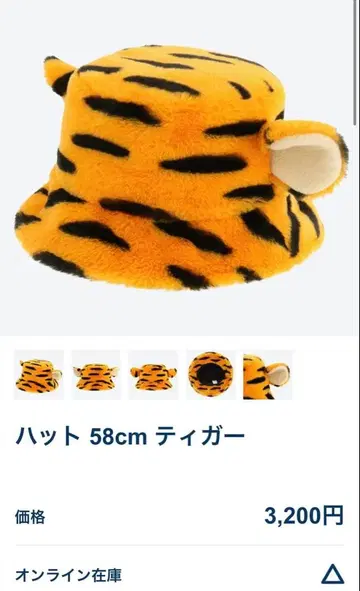 티거 햇 디즈니랜드