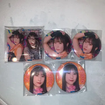 모바가챠 헤이세이 레트로 2 단바라 루루 캔뱃지 레일루루 아크링 키링