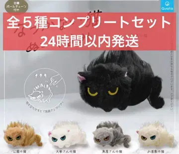 따르지 않는 고양이 봉제 인형 가챠 전 5종 컴플리트 세트