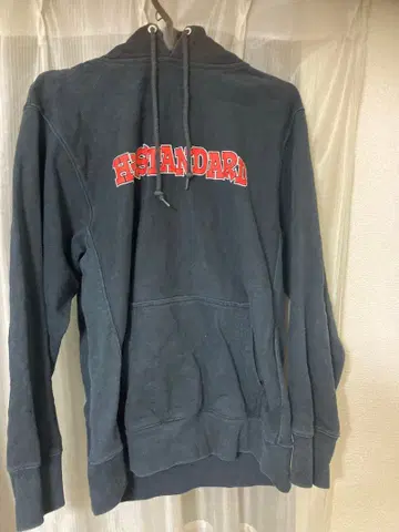Hi Standard 후드티 L 사이즈