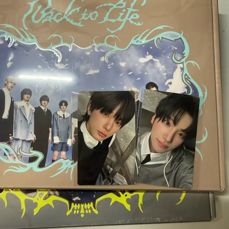 &team Back to Life album sealed unreleased photocard Lew bulk