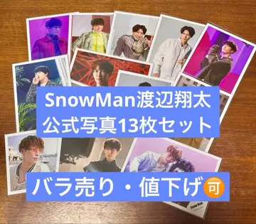 와타나베 쇼타 공식 사진 13장