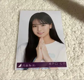 노기자카46 세토구치 신게츠