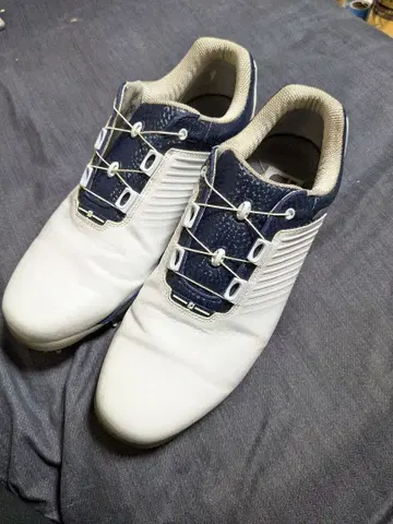 FOOT JOY 풋조이 2023년 드라이조이 프로 보아 27.5