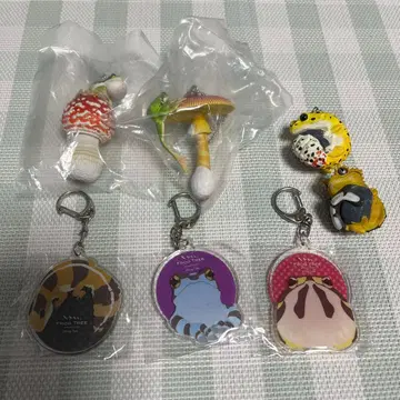 네이처 테크니컬러 버섯과 청개구리 등 세트