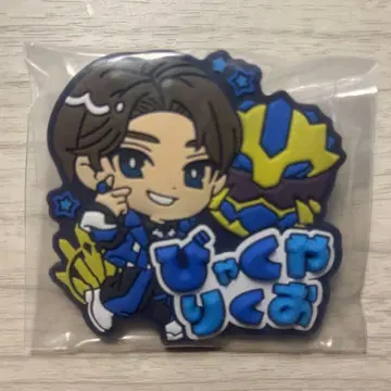 넘버원 전대 고지우자 큐루포펀 배지 백야 육왕