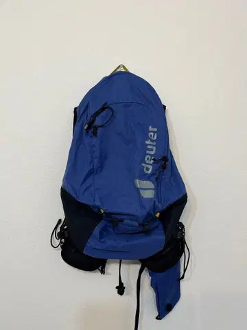 deuter 아센더 13 백팩 블루 러닝