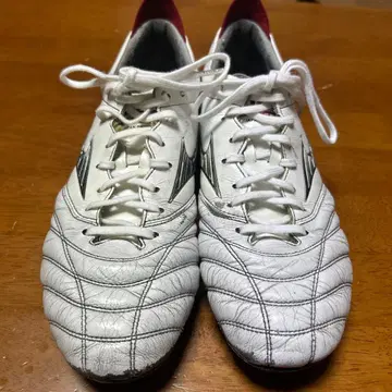 모렐리아 네오 4