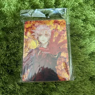 D.Gray-man 디 그레이 맨 노블 아트 A 아렌 워커