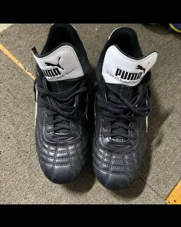 PUMA 축구화 스파이크 파라메히코