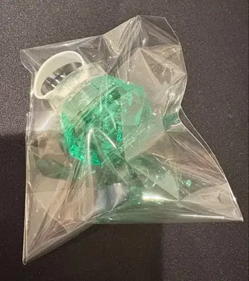 파라라이 미코시바 켄타 린라이 2024