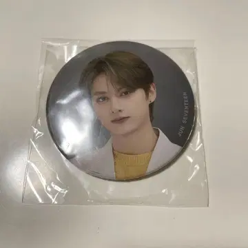 SEVENTEEN 준 캔뱃지 HARE 팬미팅