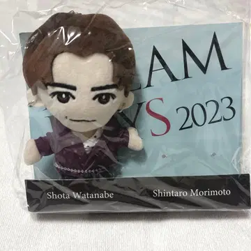 SnowMan 와타나베 쇼타 DREAM BOYS 드리보 봉제 인형