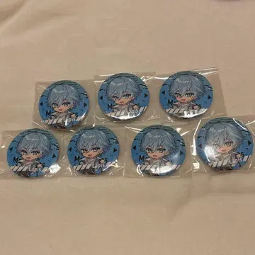 라피스 캔뱃지 데포 메테오라 무도관