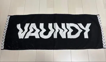 Vaundy 타월