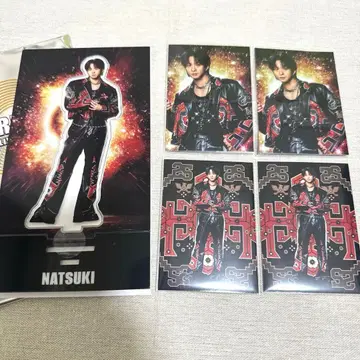 EXILE THE REASON 사와모토 나츠키 아크릴 스탠드, 포토 카드