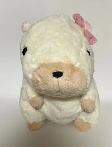 행복 하피장미 울트라 BIG 그리