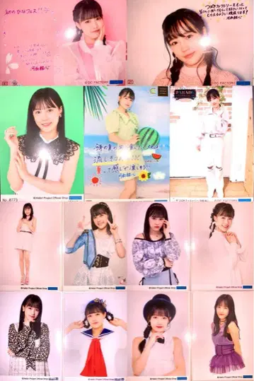 [ L판 ] 츠바키 팩토리 카사이 유신 씨 13개 세트