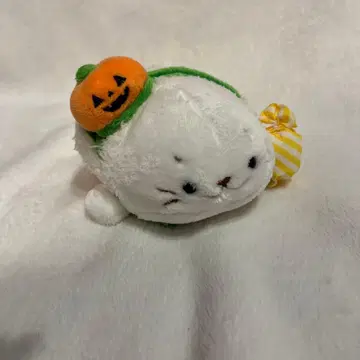 시로탄 할로윈 봉제 인형