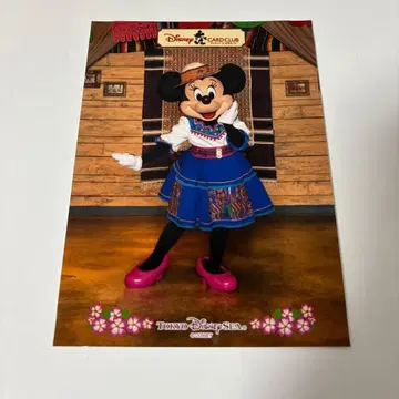 도쿄 디즈니 리조트 JCB 그리팅 사진 미니 마우스